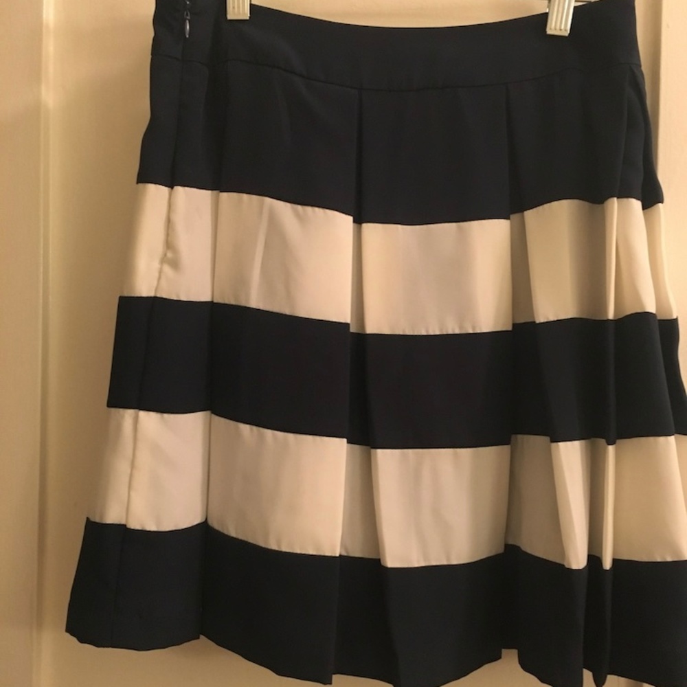 Satin Pleated Skirt